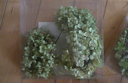 c0207719_18461825.jpg