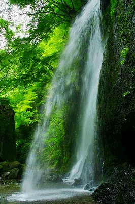 e0284019_11111038.gif