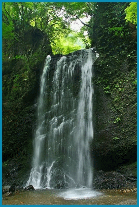e0284019_11474756.gif