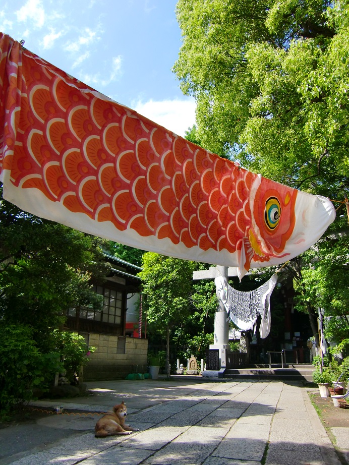 亀戸七福神 天祖神社（東京都江東区）_c0219820_2038193.jpg