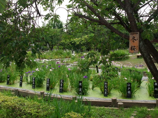 f0182920_1748999.jpg