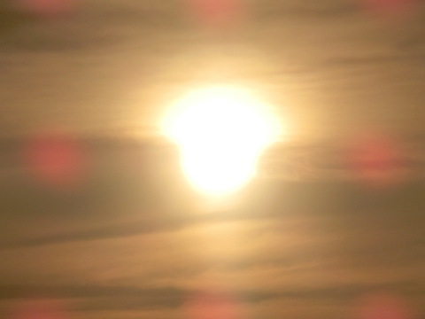 d0136122_1605530.jpg