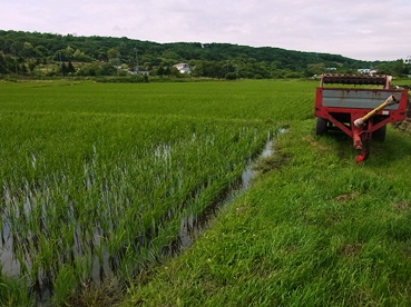 c0204725_1428448.jpg
