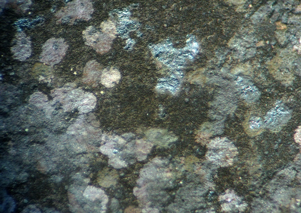 d0045626_22515346.jpg
