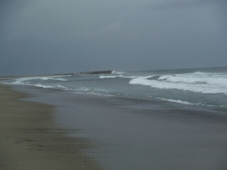 a0284729_344330.jpg