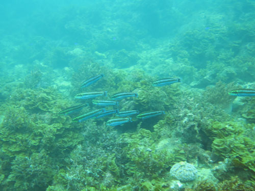 d0164831_162149.jpg