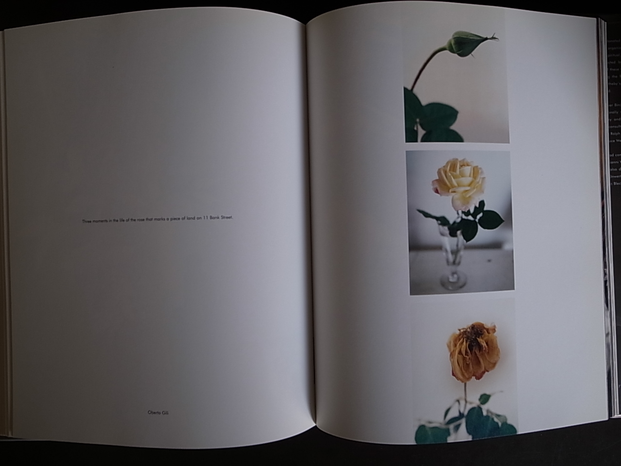 NAKED FLOWERS EXPOSED / Walter Hubert : Books & Things