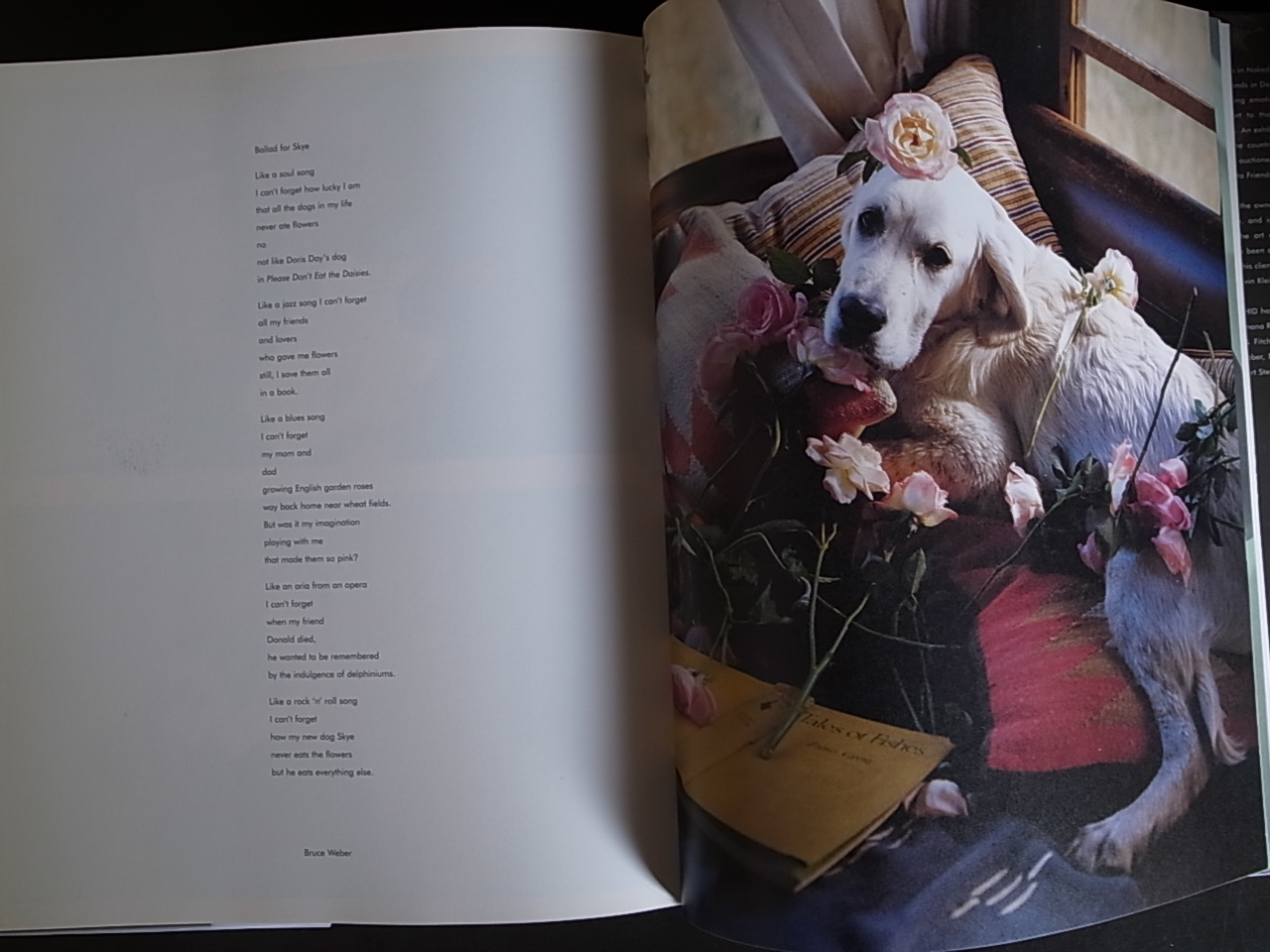 Naked Flowers Exposed 写真集 Walter Hubert Naked: Flowers Exposed: Hubert, Walter, Hubert, Walter