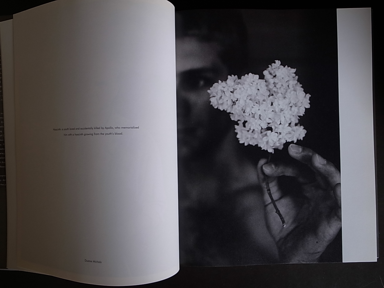 NAKED FLOWERS EXPOSED / Walter Hubert : Books & Things