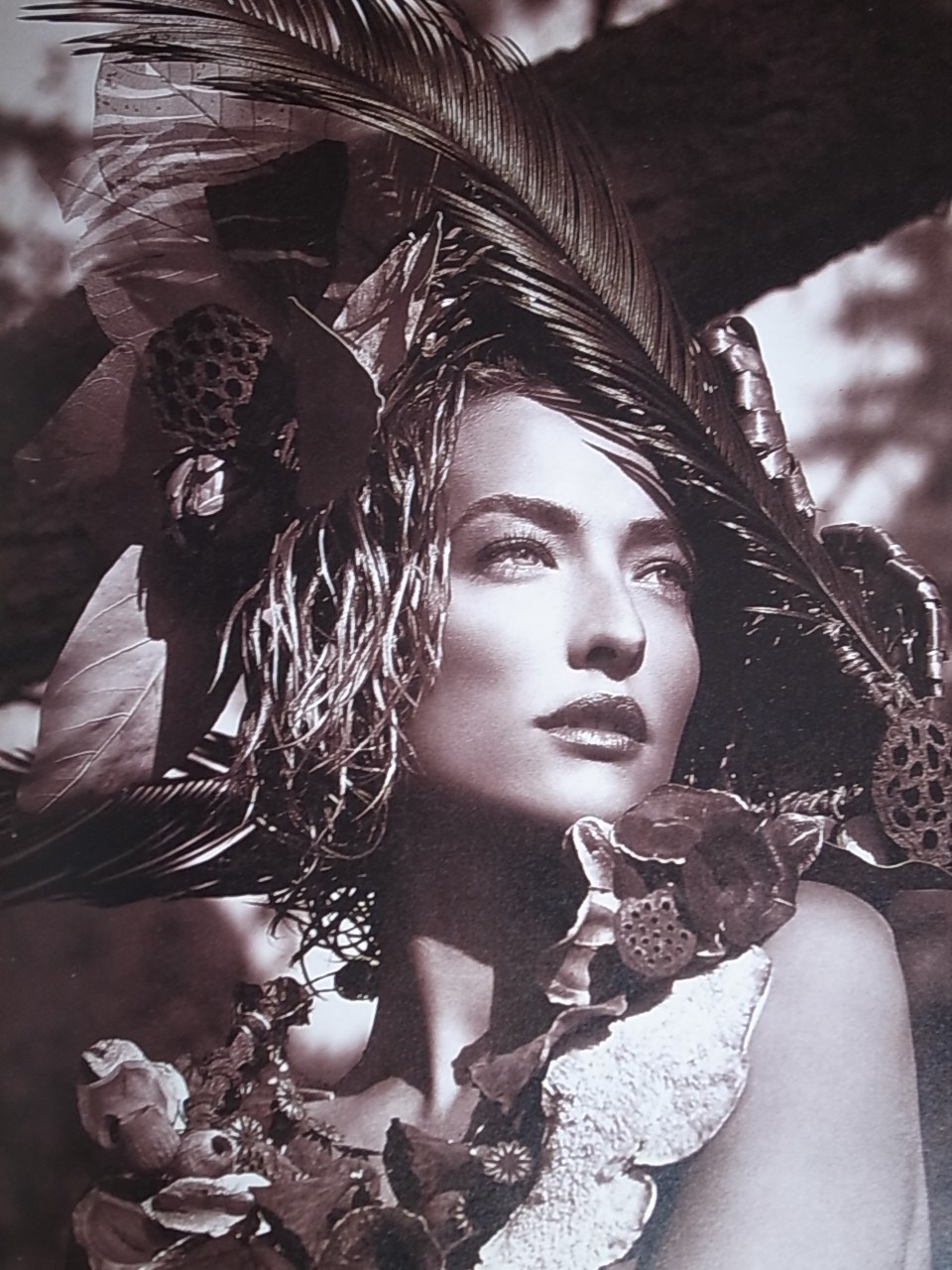 naked flowers exposed 大型本 naked flowers exposed 大型本