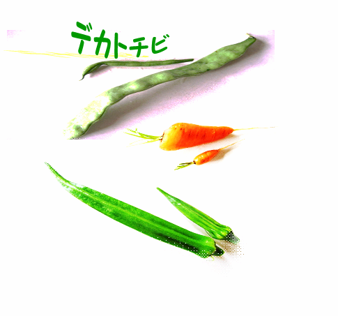 e0255638_16533874.png