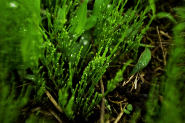 f0029038_22354795.jpg