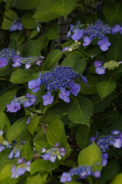 f0029038_22465423.jpg