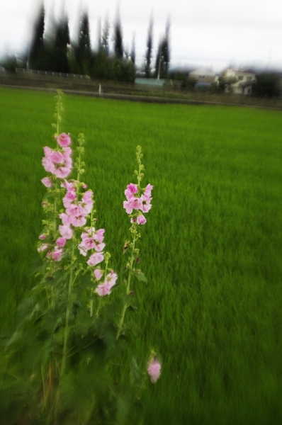 f0029038_22472162.jpg