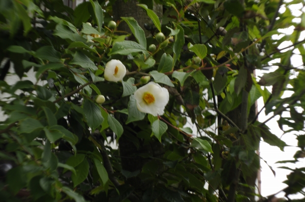 f0029038_22473663.jpg