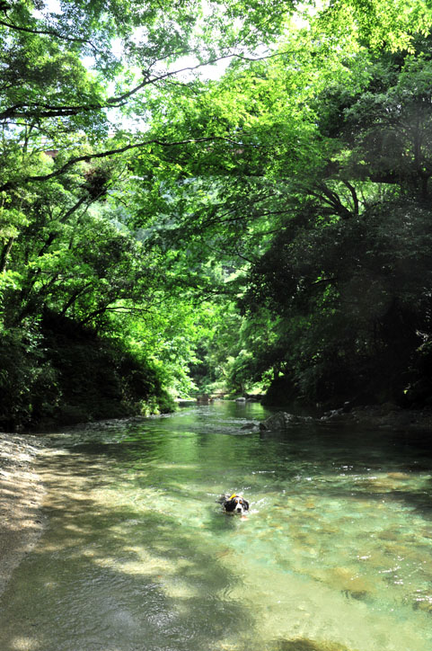 霧が森での今シーズン初泳ぎを写真でご紹介♪（前半）_b0075541_15403457.jpg