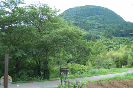 パニはどこに?_d0249047_15484614.jpg