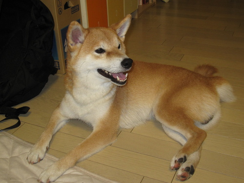 f0245650_10502219.jpg