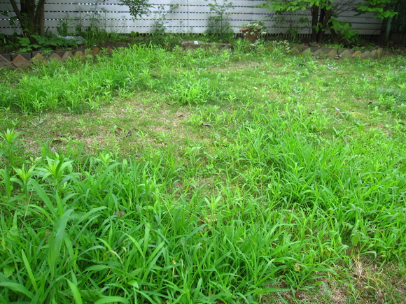 d0220551_0384483.jpg
