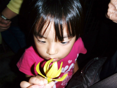 c0180460_203392.jpg