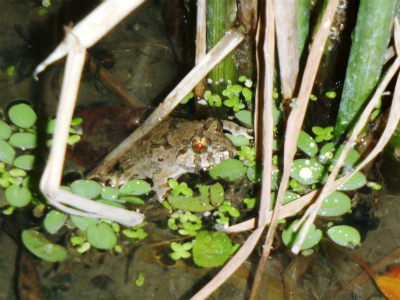 c0180460_2035471.jpg