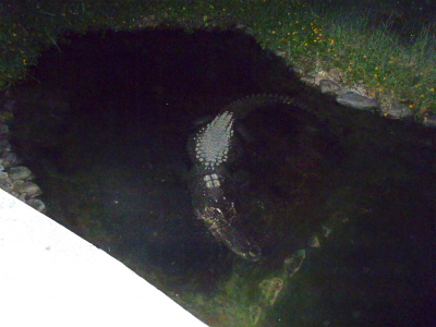 c0180460_2063099.jpg