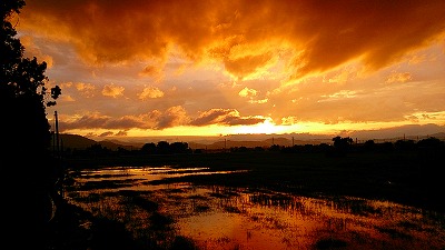 梅雨空。_e0168583_1733164.jpg