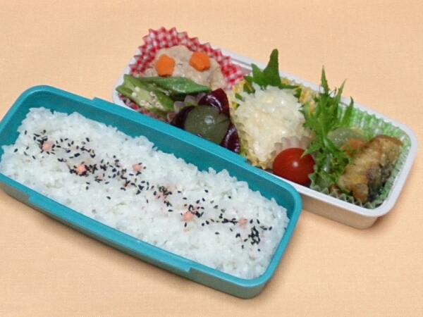 勘弁してよ～弁当(;゜∇゜)_c0301085_8411133.jpg