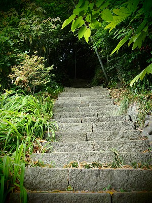 能登の旅 民宿ふらっと 2_d0133485_7435667.jpg