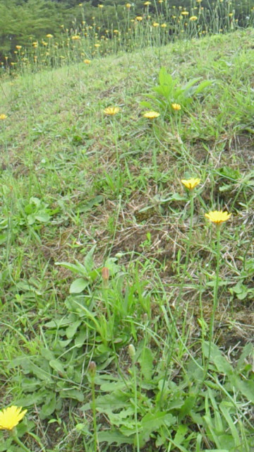 a0049287_11465066.jpg