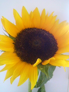 d0247789_17531425.jpg
