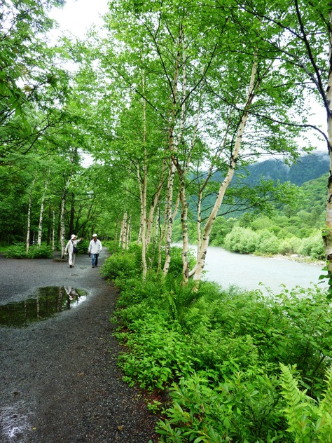 雨に煙る上高地_c0202290_19115881.jpg