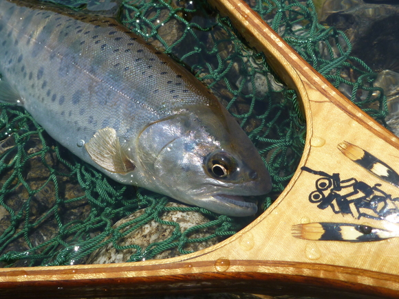 b0229003_22415455.jpg