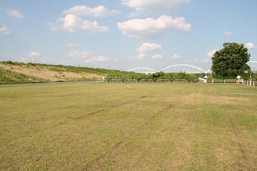 b0118209_23375599.jpg