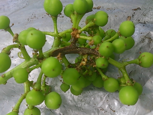 b0281312_9897.jpg