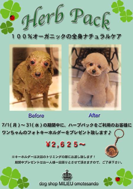 キャンペーン♪_d0060413_1045129.jpg