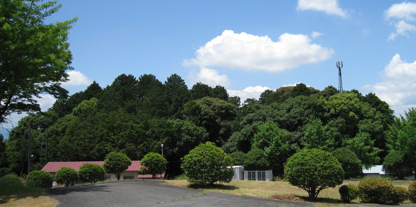 和爾下神社（わにしたじんじゃ）_d0287413_22203944.jpg