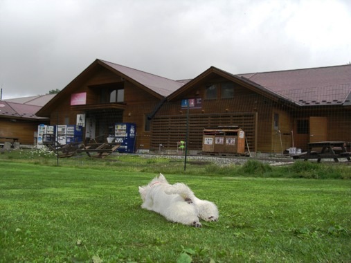 d0098316_23135939.jpg