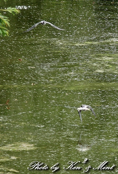 e0218518_2252558.jpg