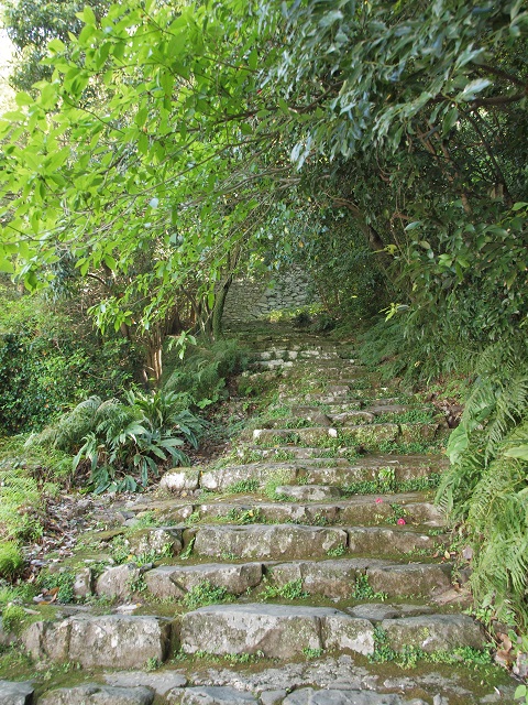 e0303726_12433661.jpg