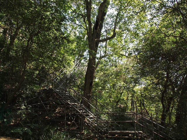 伊達十万石の城下町、宇和島_e0303726_12495532.jpg