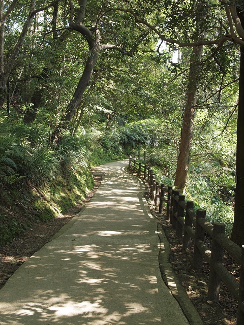 伊達十万石の城下町、宇和島_e0303726_149595.jpg