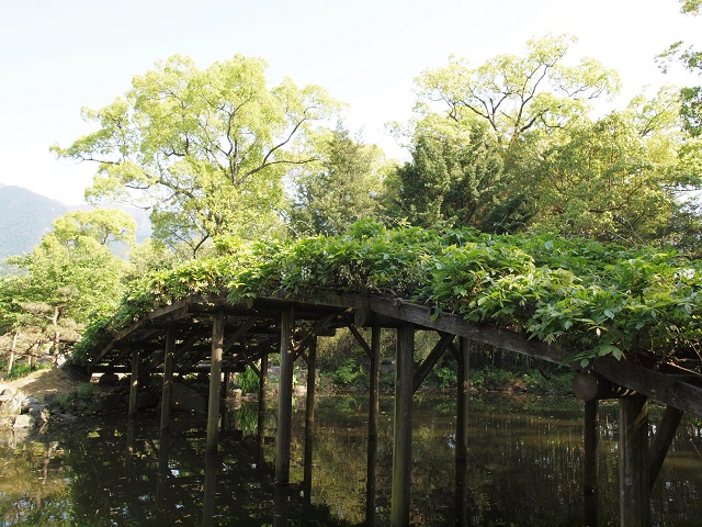 e0303726_17165965.jpg
