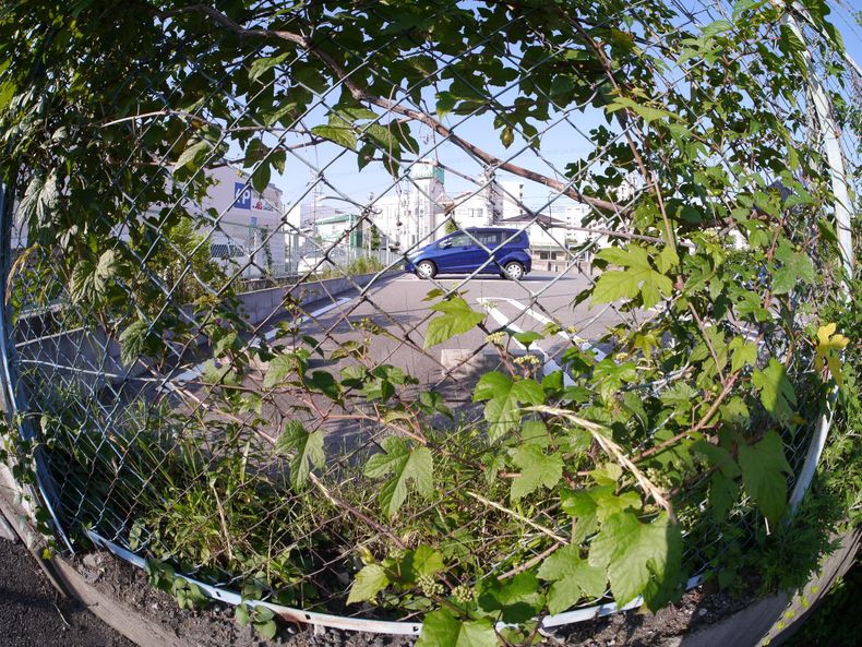 b0069128_1055083.jpg