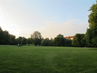 f0224632_539321.jpg