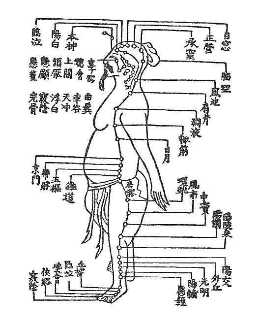 慢性肩こり解消の手がかり 〜ある日の施術より〜_e0073240_0292546.gif