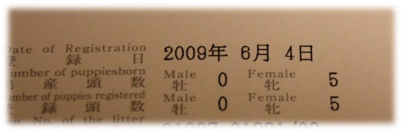 b0245048_5101562.jpg