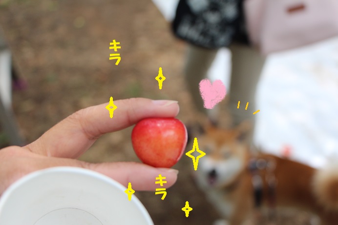 f0245650_9233282.jpg