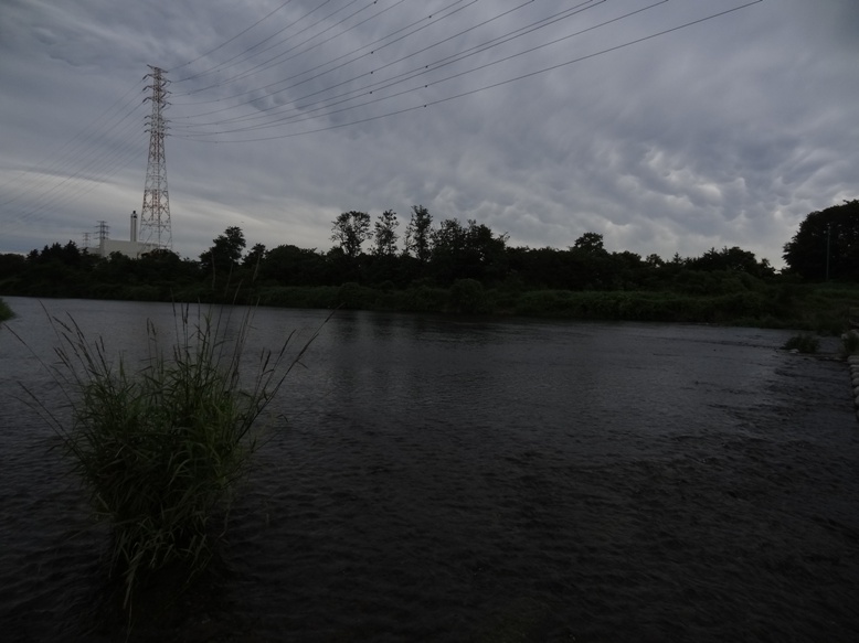 今年の梅雨も終わり_b0015651_20544897.jpg