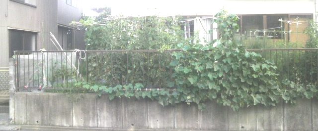 e0082956_644921.jpg